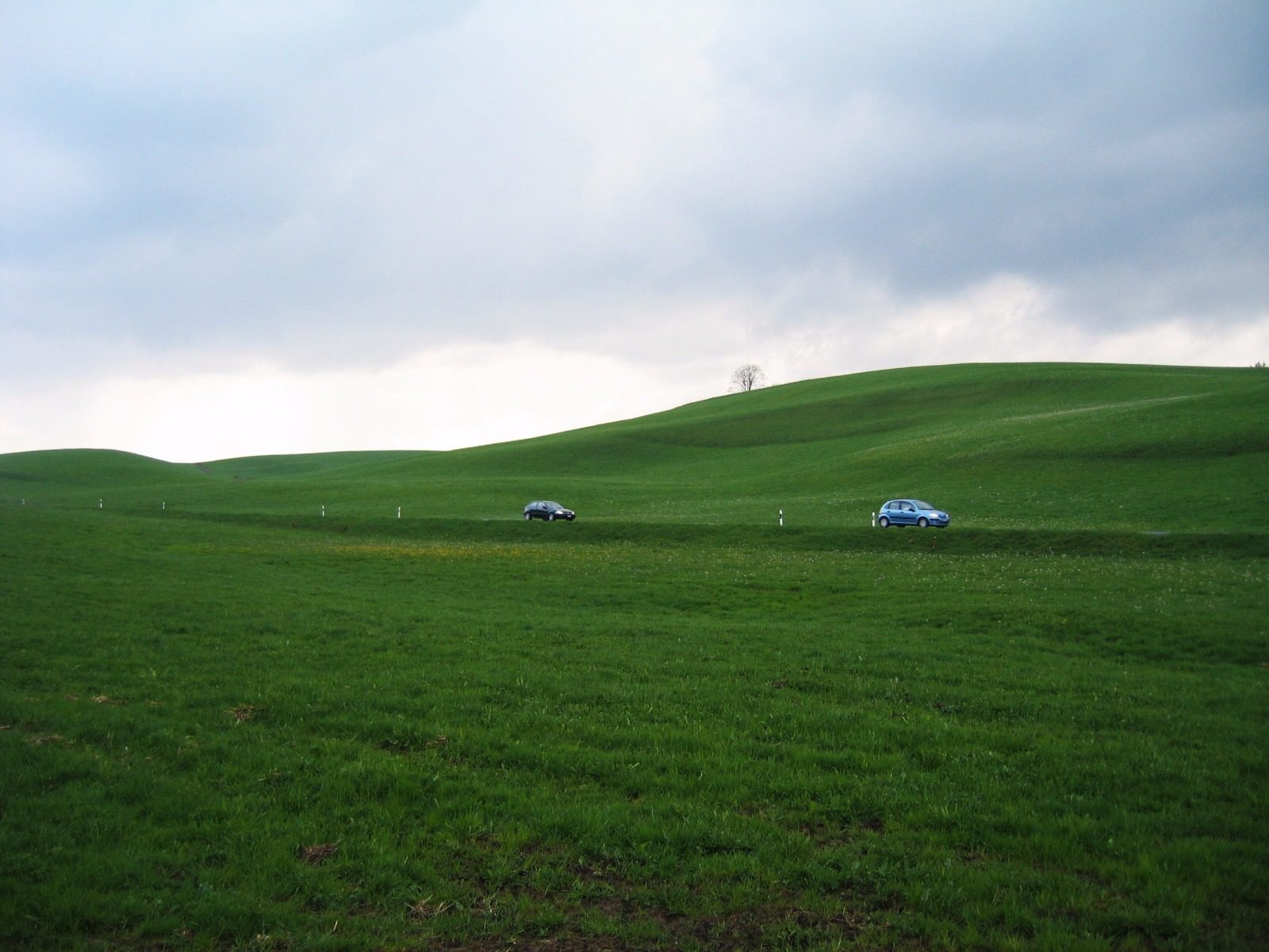 Blue Car on Green Landscape
